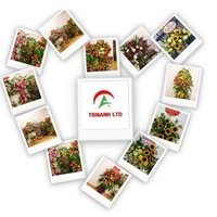 CÔNG TY TNHH PHÁT TRIỂN TIẾN ANH