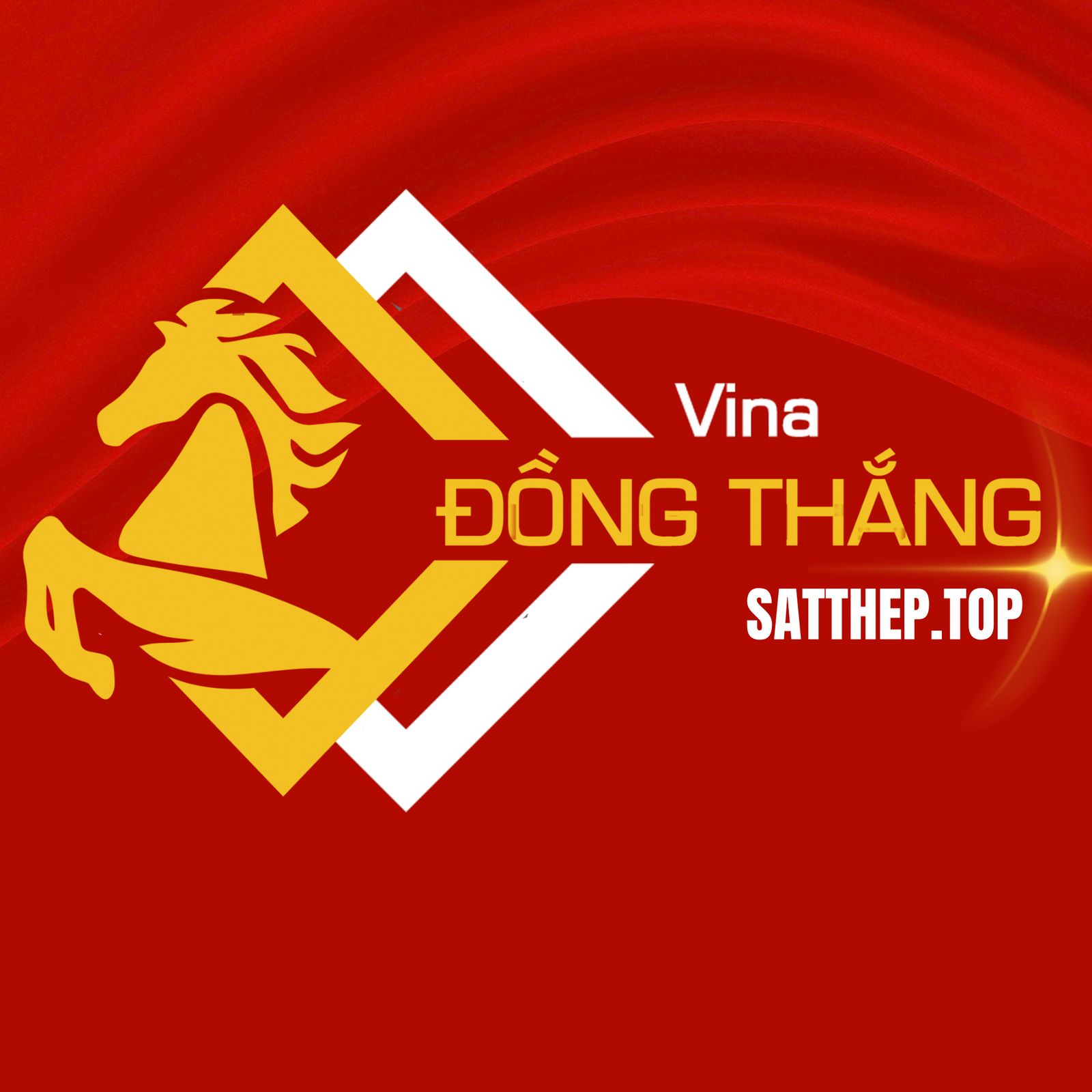 CÔNG TY TNHH VI NA ĐỒNG THẮNG