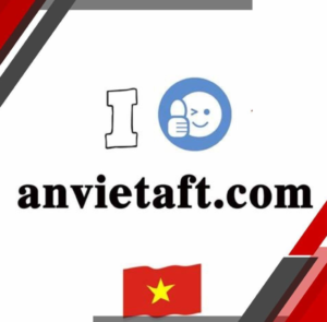 CÔNG TY CỔ PHẦN TÀI CHÍNH VÀ ĐẠI LÝ THUẾ AN VIỆT