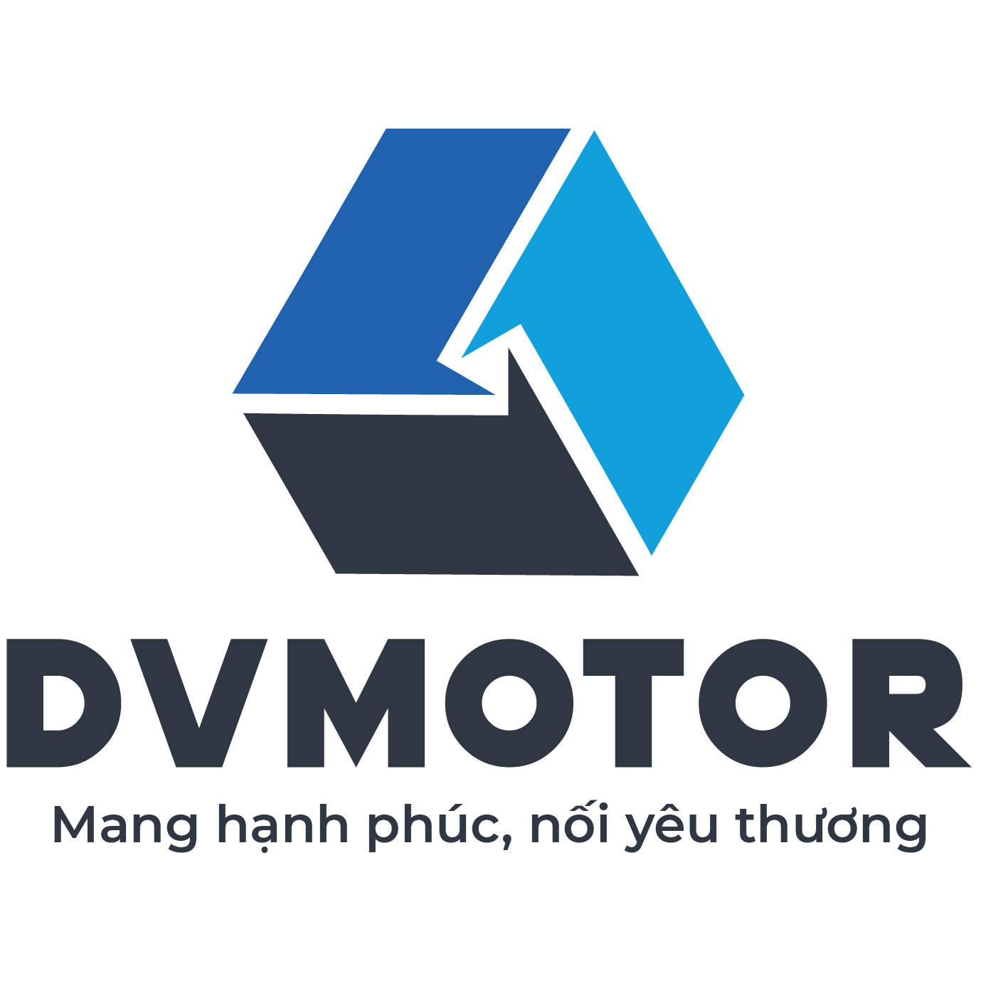 CÔNG TY CỔ PHẦN DVMOTOR VIỆT NAM