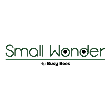 Trường mầm non Small Wonder