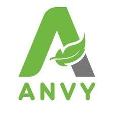 Công ty Cổ phần Anvy (Anvy Group)