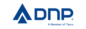 CÔNG TY CỔ PHẦN DNP HOLDING