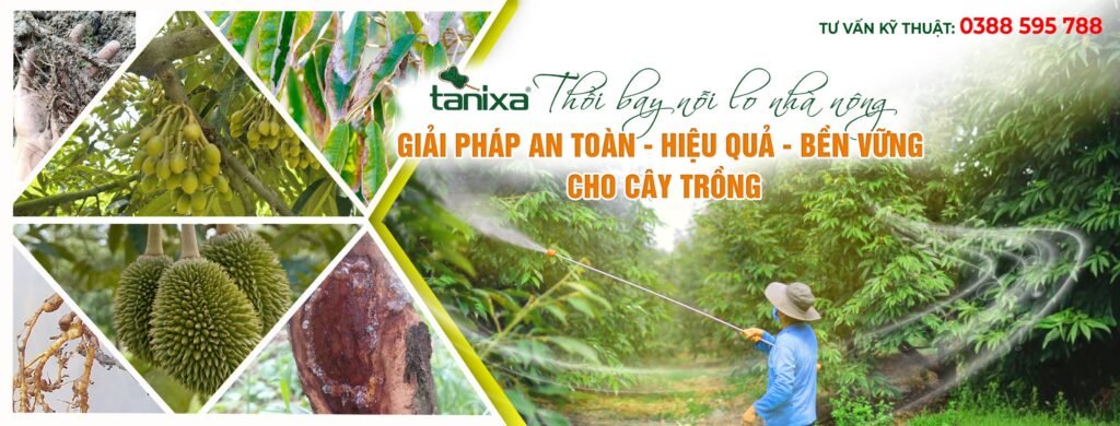 Hình ảnh Công ty TNHH Công Nghệ Tanixa — 4