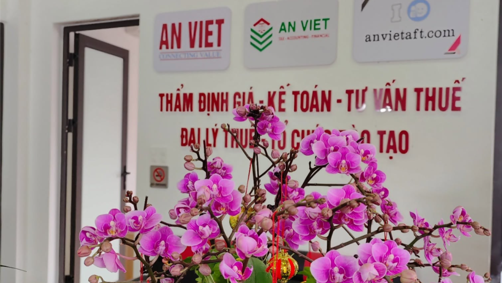 Hình ảnh CÔNG TY CỔ PHẦN TÀI CHÍNH VÀ ĐẠI LÝ THUẾ AN VIỆT — 1