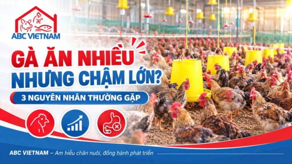 Hình ảnh Công ty Cổ phần ABC Việt Nam — 1