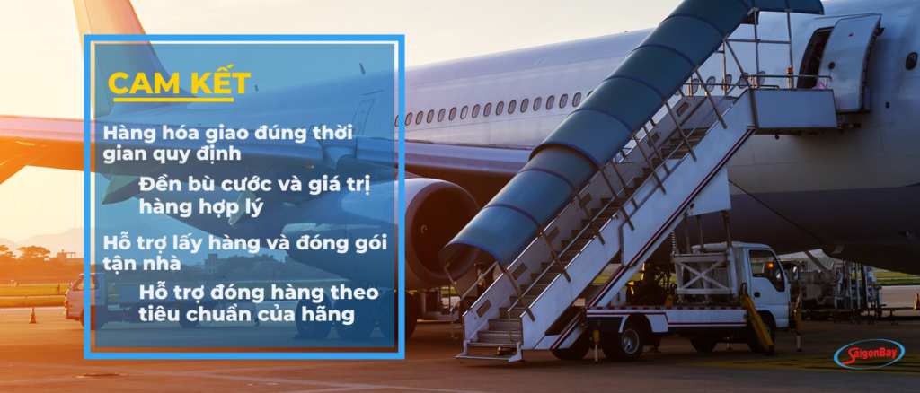 Hình ảnh Công ty Cổ phần Xuất Nhập Khẩu Sài Gòn Bay — 3