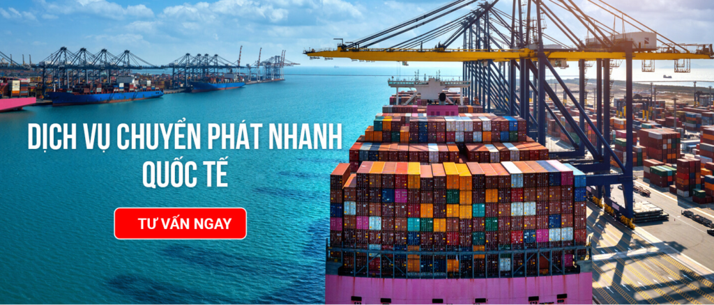 Hình ảnh Công ty Cổ phần Xuất Nhập Khẩu Sài Gòn Bay — 1